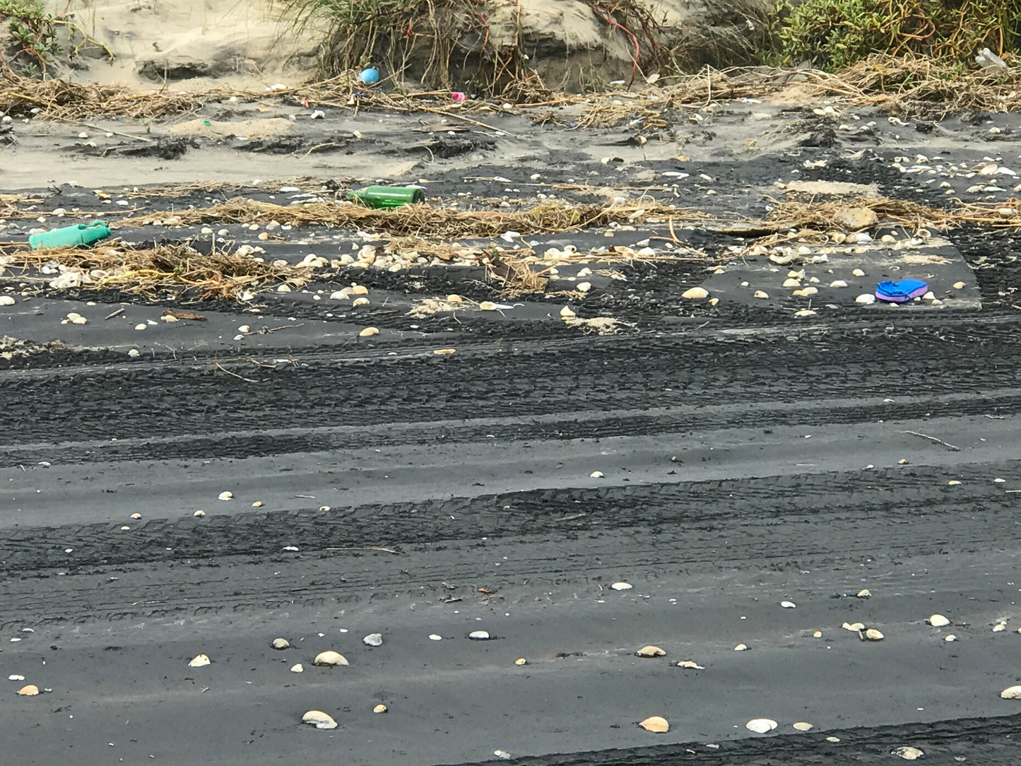 Plastic Beach Trash Miguel The Mahi Mahi Sculpture